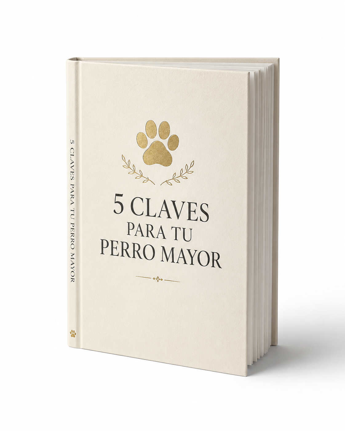 5 Claves para tu Perro Mayor