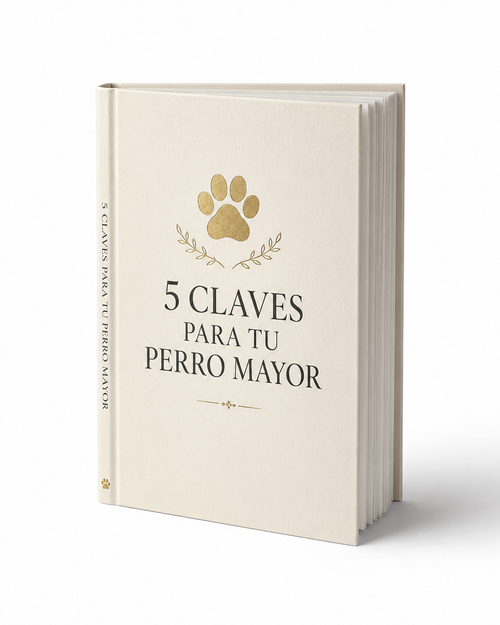 5 Claves para tu Perro Mayor